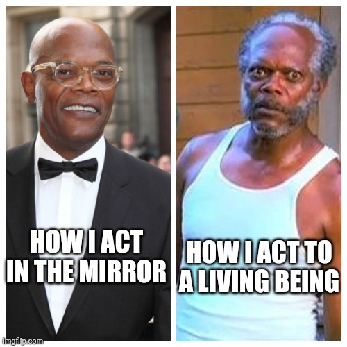 We all do this right? | HOW I ACT TO A LIVING BEING; HOW I ACT IN THE MIRROR | image tagged in samuel l jackson before and after,memes,funny,relatable,shower thoughts | made w/ Imgflip meme maker