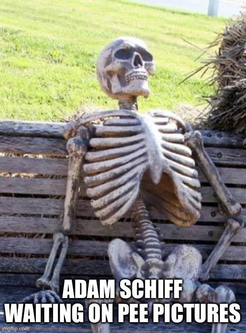 Waiting Skeleton Meme | ADAM SCHIFF WAITING ON PEE PICTURES | image tagged in memes,waiting skeleton | made w/ Imgflip meme maker