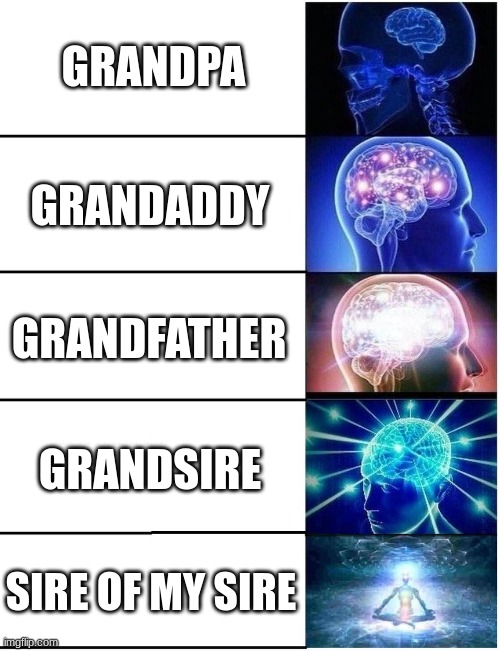 Expanding Brain 5 Panel | GRANDPA; GRANDADDY; GRANDFATHER; GRANDSIRE; SIRE OF MY SIRE | image tagged in expanding brain 5 panel | made w/ Imgflip meme maker