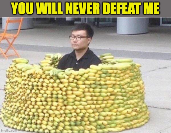 banana fort | YOU WILL NEVER DEFEAT ME | image tagged in banana fort | made w/ Imgflip meme maker