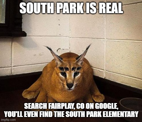 bibically accurate floppa | SOUTH PARK IS REAL; SEARCH FAIRPLAY, CO ON GOOGLE, YOU'LL EVEN FIND THE SOUTH PARK ELEMENTARY | image tagged in bibically accurate floppa | made w/ Imgflip meme maker