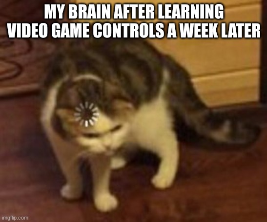 Loading cat | MY BRAIN AFTER LEARNING VIDEO GAME CONTROLS A WEEK LATER | image tagged in loading cat | made w/ Imgflip meme maker