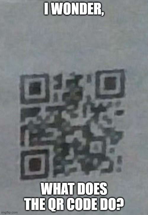 I wonder | I WONDER, WHAT DOES THE QR CODE DO? | image tagged in rick roll | made w/ Imgflip meme maker
