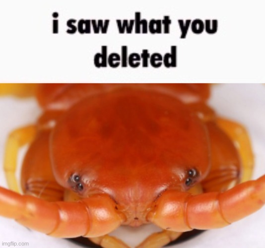 i saw what you deleted | image tagged in i saw what you deleted | made w/ Imgflip meme maker