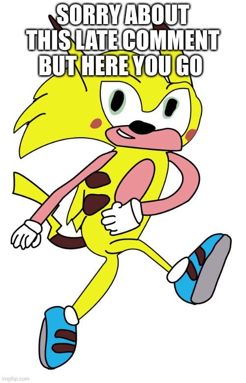 Sonichu | SORRY ABOUT THIS LATE COMMENT BUT HERE YOU GO | image tagged in sonichu | made w/ Imgflip meme maker