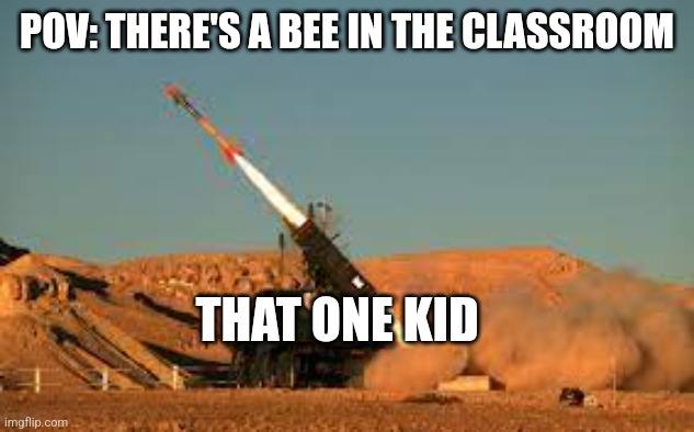 Anti air | POV: THERE'S A BEE IN THE CLASSROOM; THAT ONE KID | made w/ Imgflip meme maker