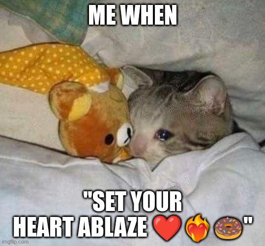 Crying cat | ME WHEN "SET YOUR HEART ABLAZE ❤❤‍??" | image tagged in crying cat | made w/ Imgflip meme maker