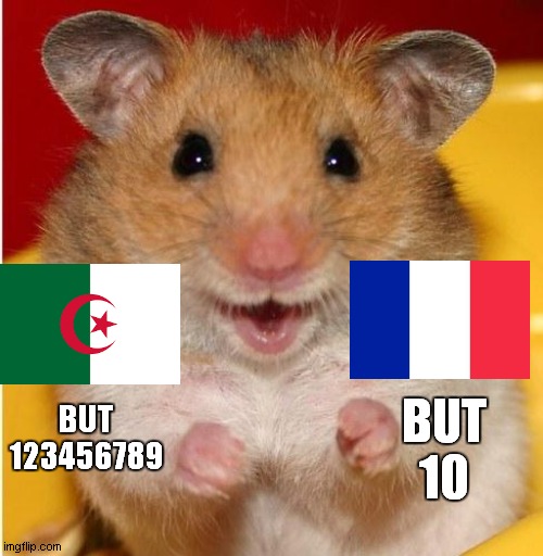 world cup (2042) hamster ok smile algeria vs france (part 2) | BUT
10; BUT
123456789 | image tagged in hamster | made w/ Imgflip meme maker