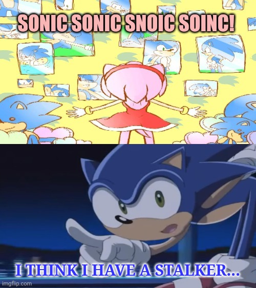 Sonic problems | SONIC SONIC SNOIC SOINC! I THINK I HAVE A STALKER... | image tagged in kids don't - sonic x,sonic the hedgehog,amy rose,this is not okie dokie | made w/ Imgflip meme maker