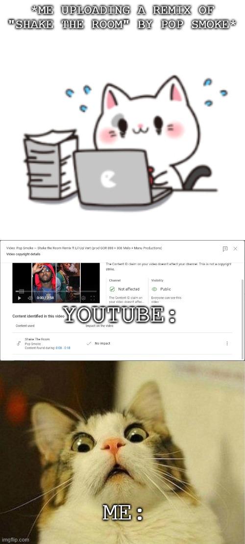 Reaction to a Copyright ID Claim | *ME UPLOADING A REMIX OF "SHAKE THE ROOM" BY POP SMOKE*; YOUTUBE:; ME: | image tagged in frantically typing cat by mixflavor,memes,scared cat,scared,cats,pop smoke | made w/ Imgflip meme maker