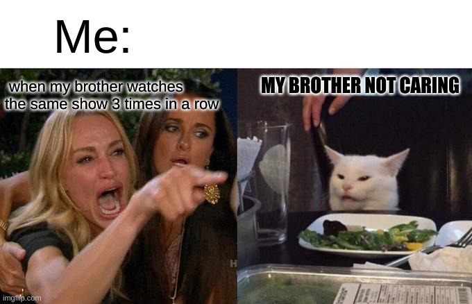 Woman Yelling At Cat | Me:; MY BROTHER NOT CARING; when my brother watches the same show 3 times in a row | image tagged in memes,woman yelling at cat | made w/ Imgflip meme maker