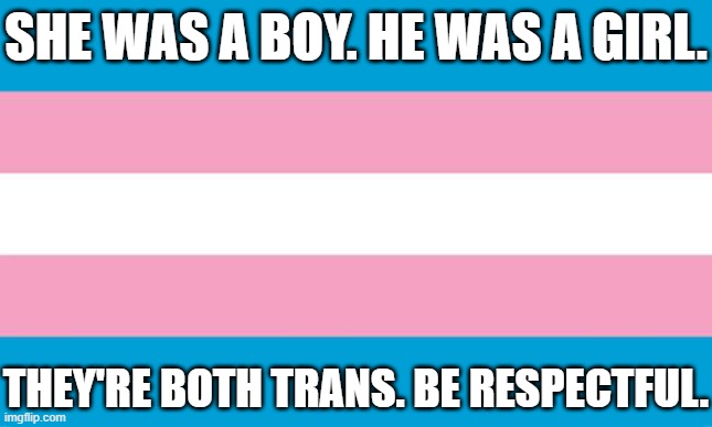 I'm sorry I was listening to Sk8r Boi and my brain went- | SHE WAS A BOY. HE WAS A GIRL. THEY'RE BOTH TRANS. BE RESPECTFUL. | image tagged in transgender flag | made w/ Imgflip meme maker