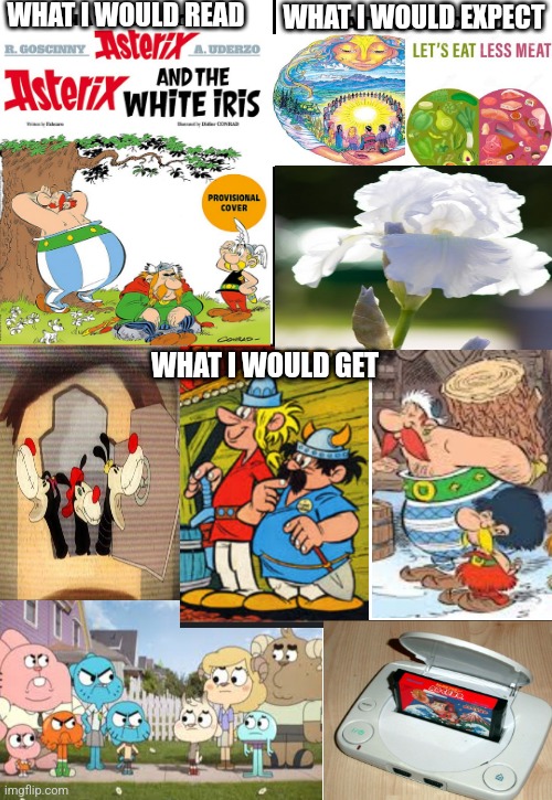 Expect New Age thinking and eating meat in Asterix & The White Iris, I'll end up get Fritze Blitz & Dunnerkiel with Miracle Star | WHAT I WOULD READ; WHAT I WOULD EXPECT; WHAT I WOULD GET | image tagged in what i watched/ what i expected/ what i got,tawog,asterix,animaniacs,bootleg | made w/ Imgflip meme maker