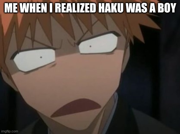how did i not know this | ME WHEN I REALIZED HAKU WAS A BOY | image tagged in fun | made w/ Imgflip meme maker