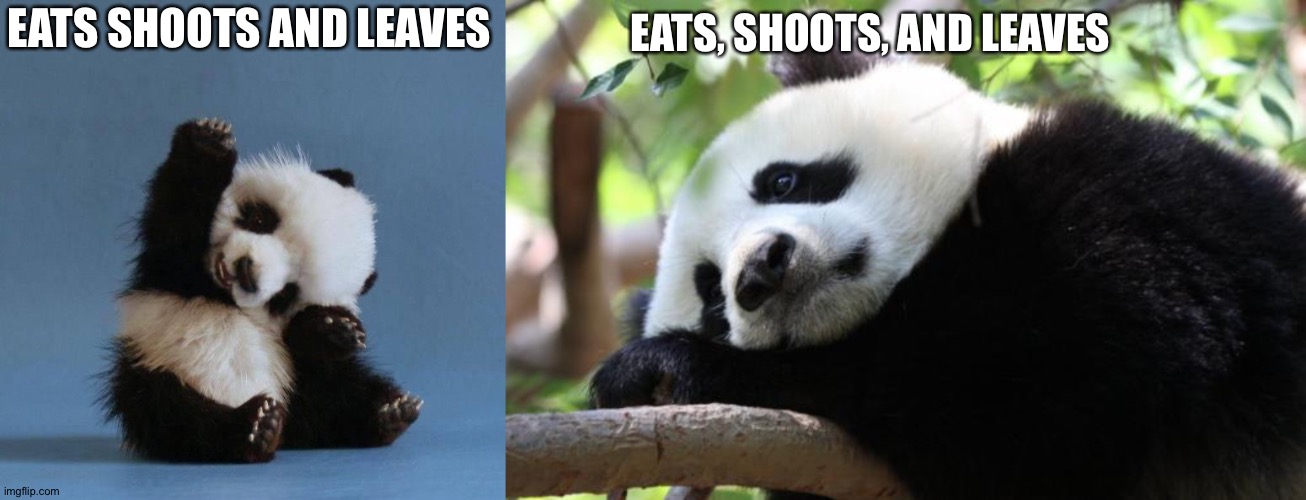 EATS, SHOOTS, AND LEAVES; EATS SHOOTS AND LEAVES | image tagged in panda,sad panda | made w/ Imgflip meme maker