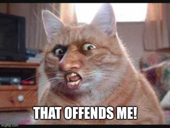 Furry | THAT OFFENDS ME! | image tagged in furry | made w/ Imgflip meme maker