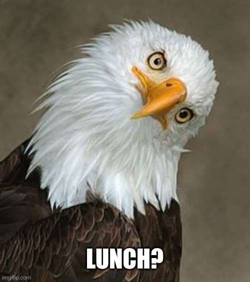 bald eagle tilt | LUNCH? | image tagged in bald eagle tilt | made w/ Imgflip meme maker