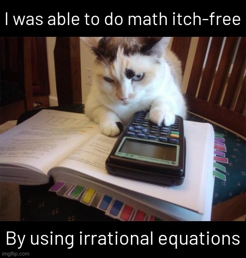 Math cat | I was able to do math itch-free; By using irrational equations | image tagged in math cat,memes,funny,fuuny,eyeroll,bad pun | made w/ Imgflip meme maker