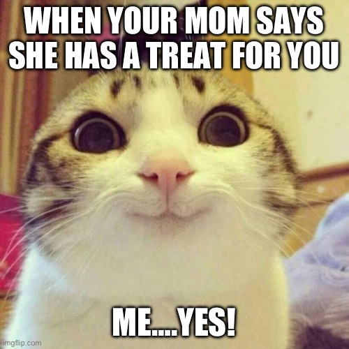 Smiling Cat Meme | WHEN YOUR MOM SAYS SHE HAS A TREAT FOR YOU; ME….YES! | image tagged in memes,smiling cat | made w/ Imgflip meme maker
