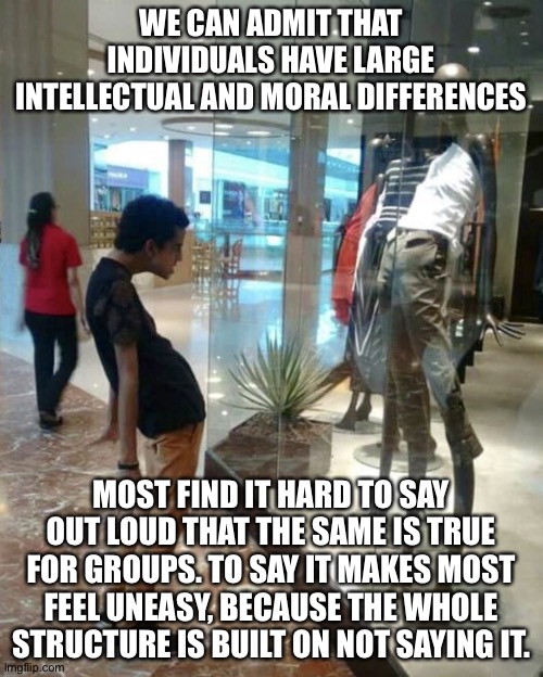 Mall Kid And Mannequin | WE CAN ADMIT THAT INDIVIDUALS HAVE LARGE INTELLECTUAL AND MORAL DIFFERENCES; MOST FIND IT HARD TO SAY OUT LOUD THAT THE SAME IS TRUE FOR GROUPS. TO SAY IT MAKES MOST FEEL UNEASY, BECAUSE THE WHOLE STRUCTURE IS BUILT ON NOT SAYING IT. | image tagged in mall kid and mannequin | made w/ Imgflip meme maker