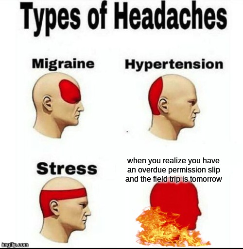 Types of Headaches meme | when you realize you have an overdue permission slip and the field trip is tomorrow | image tagged in types of headaches meme | made w/ Imgflip meme maker