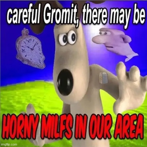 careful Gromit | image tagged in careful gromit | made w/ Imgflip meme maker