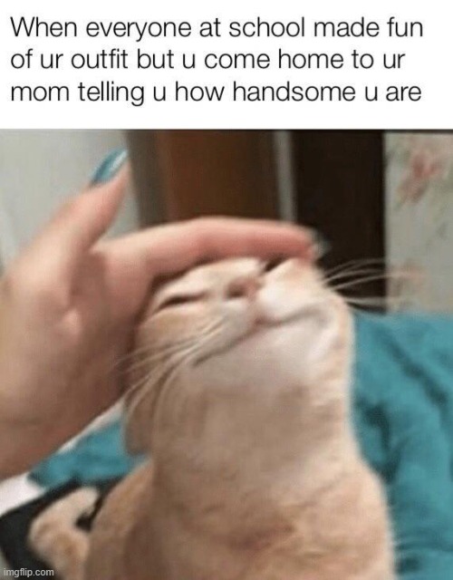 :) | image tagged in cats | made w/ Imgflip meme maker