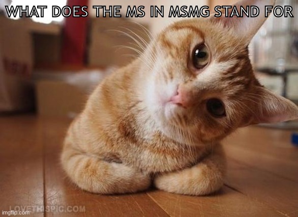 Curious Question Cat | WHAT DOES THE MS IN MSMG STAND FOR | image tagged in curious question cat | made w/ Imgflip meme maker
