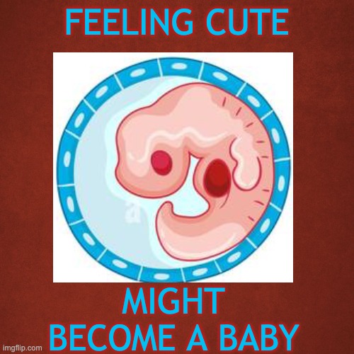 I wish teenagers without wombs would stop lecturing me about "the unborn" | FEELING CUTE; MIGHT BECOME A BABY | image tagged in birth,women,abortion,baby,fetus | made w/ Imgflip meme maker