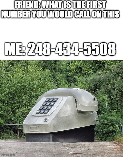 FRIEND: WHAT IS THE FIRST NUMBER YOU WOULD CALL ON THIS; ME: 248-434-5508 | image tagged in blank white template | made w/ Imgflip meme maker
