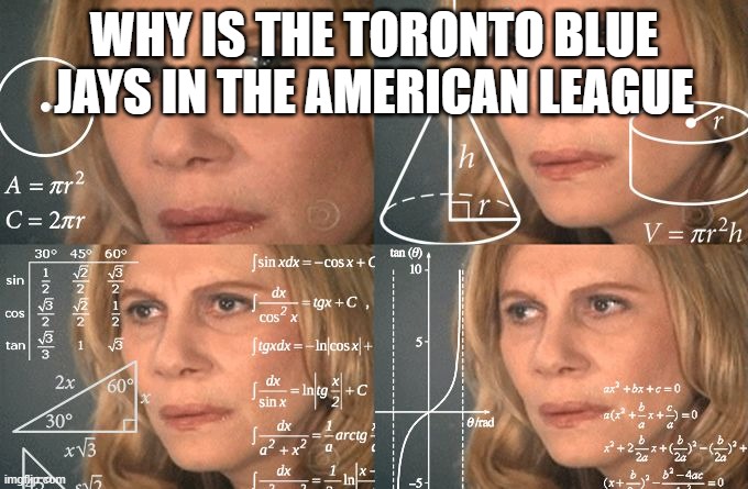 why just why | WHY IS THE TORONTO BLUE JAYS IN THE AMERICAN LEAGUE | image tagged in calculating meme | made w/ Imgflip meme maker