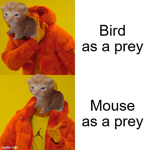 Drake Hotline Bling | Bird as a prey; Mouse as a prey | image tagged in memes,drake hotline bling | made w/ Imgflip meme maker