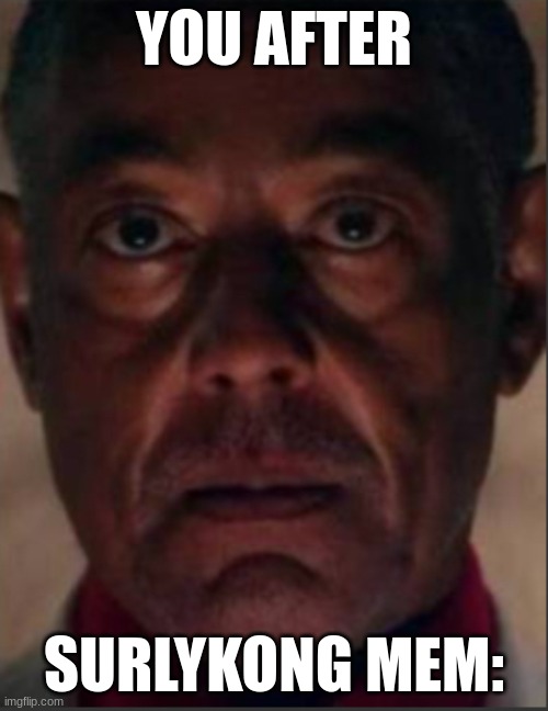 Gus fring | YOU AFTER; SURLYKONG MEM: | image tagged in gus fring | made w/ Imgflip meme maker