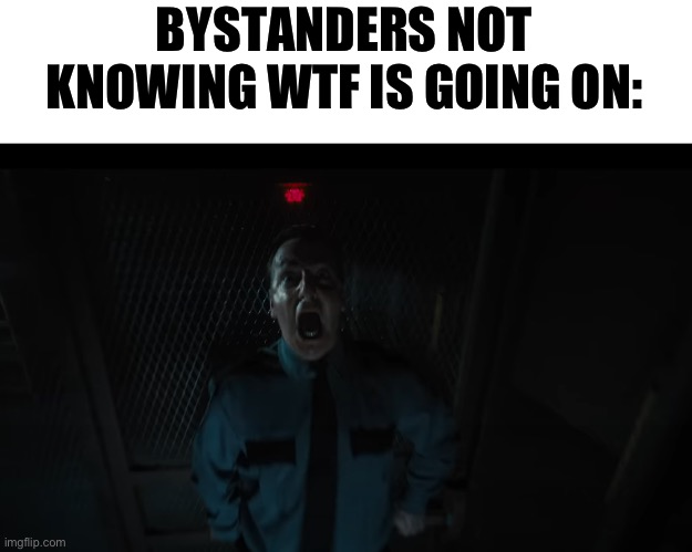 Screaming Night Guard | BYSTANDERS NOT KNOWING WTF IS GOING ON: | image tagged in screaming night guard | made w/ Imgflip meme maker