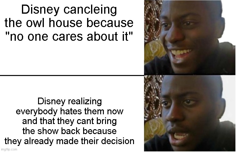 Disney has a weird trend of cancelling good shows | Disney cancleing the owl house because "no one cares about it"; Disney realizing everybody hates them now and that they cant bring the show back because they already made their decision | image tagged in disappointed black guy | made w/ Imgflip meme maker
