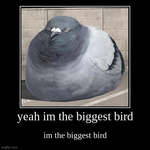 big birb | yeah im the biggest bird | im the biggest bird | image tagged in funny,demotivationals,birb,biggest bird,biggest birb,memes | made w/ Imgflip demotivational maker