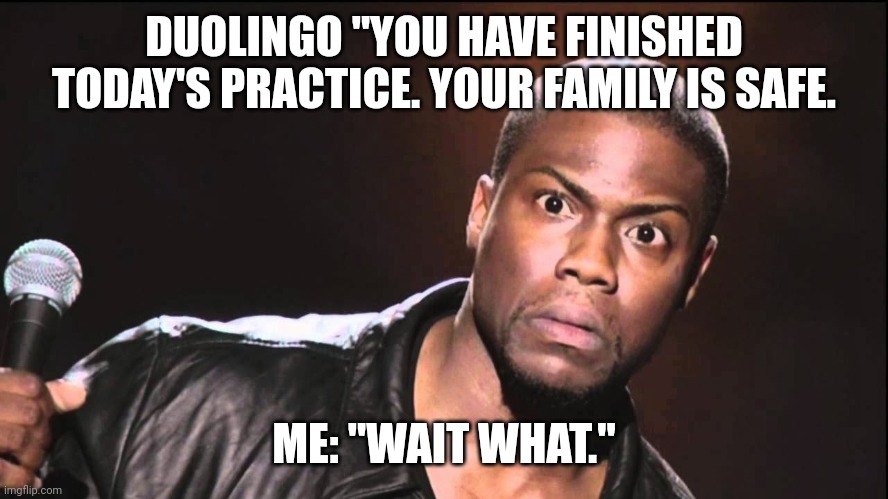 Wait What? | DUOLINGO "YOU HAVE FINISHED TODAY'S PRACTICE. YOUR FAMILY IS SAFE. ME: "WAIT WHAT." | image tagged in wait what | made w/ Imgflip meme maker