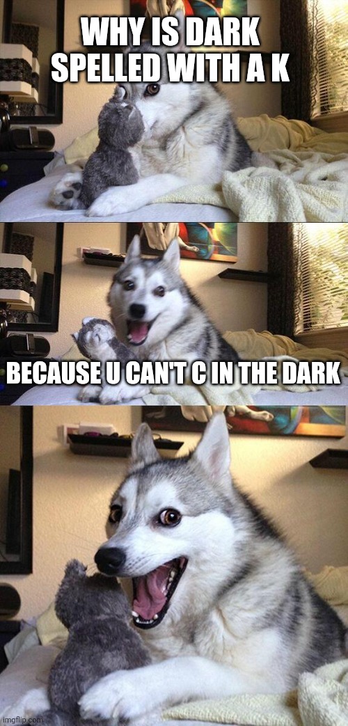 Bad Pun Dog | WHY IS DARK SPELLED WITH A K; BECAUSE U CAN'T C IN THE DARK | image tagged in memes,bad pun dog | made w/ Imgflip meme maker