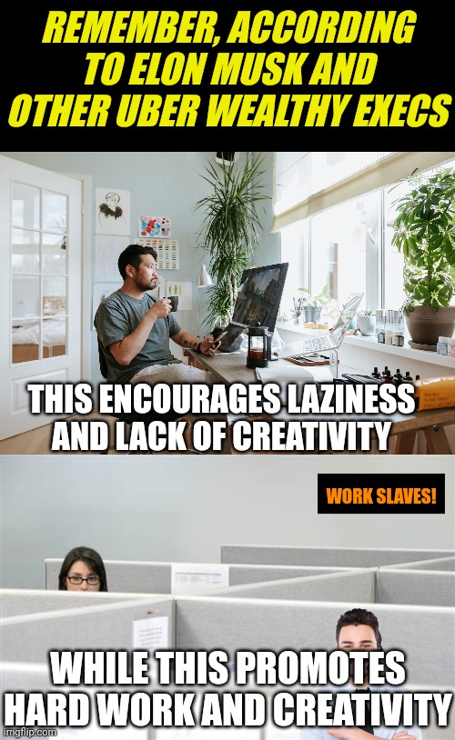 The more Musk gets into the public eye, the more bizarre he seems | REMEMBER, ACCORDING TO ELON MUSK AND OTHER UBER WEALTHY EXECS; THIS ENCOURAGES LAZINESS AND LACK OF CREATIVITY; WORK SLAVES! WHILE THIS PROMOTES HARD WORK AND CREATIVITY | image tagged in woman in cubicle,working from home,life,happiness,tyranny,elon musk | made w/ Imgflip meme maker