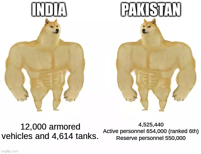 Buff Doge vs Buff Doge | INDIA; PAKISTAN; 12,000 armored vehicles and 4,614 tanks. 4,525,440
Active personnel	654,000 (ranked 6th)
Reserve personnel	550,000 | image tagged in buff doge vs buff doge | made w/ Imgflip meme maker