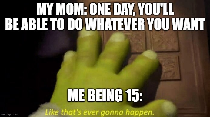 I feel you if you wanna do whatever u want! I feel for y'all | MY MOM: ONE DAY, YOU'LL BE ABLE TO DO WHATEVER YOU WANT; ME BEING 15: | image tagged in like that's ever gonna happen | made w/ Imgflip meme maker