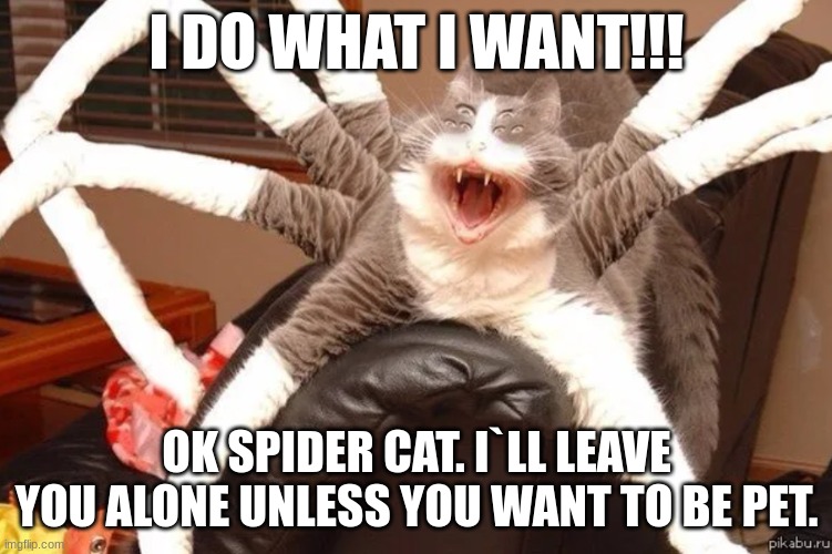 I DO WHAT I WANT!!! OK SPIDER CAT. I`LL LEAVE YOU ALONE UNLESS YOU WANT TO BE PET. | image tagged in funny,funny memes | made w/ Imgflip meme maker