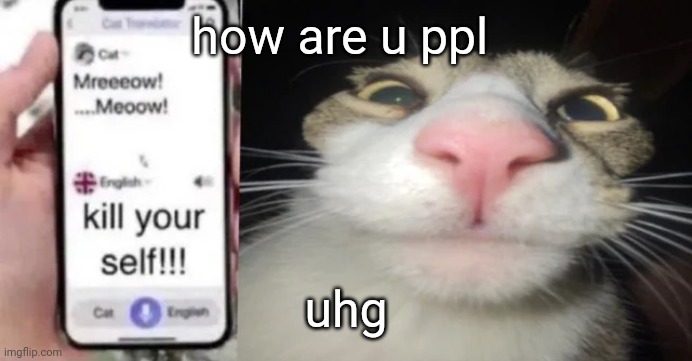 d | how are u ppl; uhg | image tagged in d | made w/ Imgflip meme maker