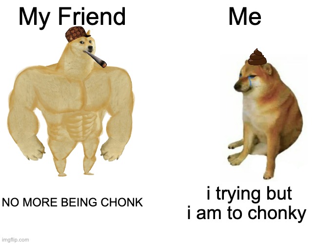 me is a chonker | My Friend; Me; NO MORE BEING CHONK; i trying but i am to chonky | image tagged in memes,buff doge vs cheems | made w/ Imgflip meme maker