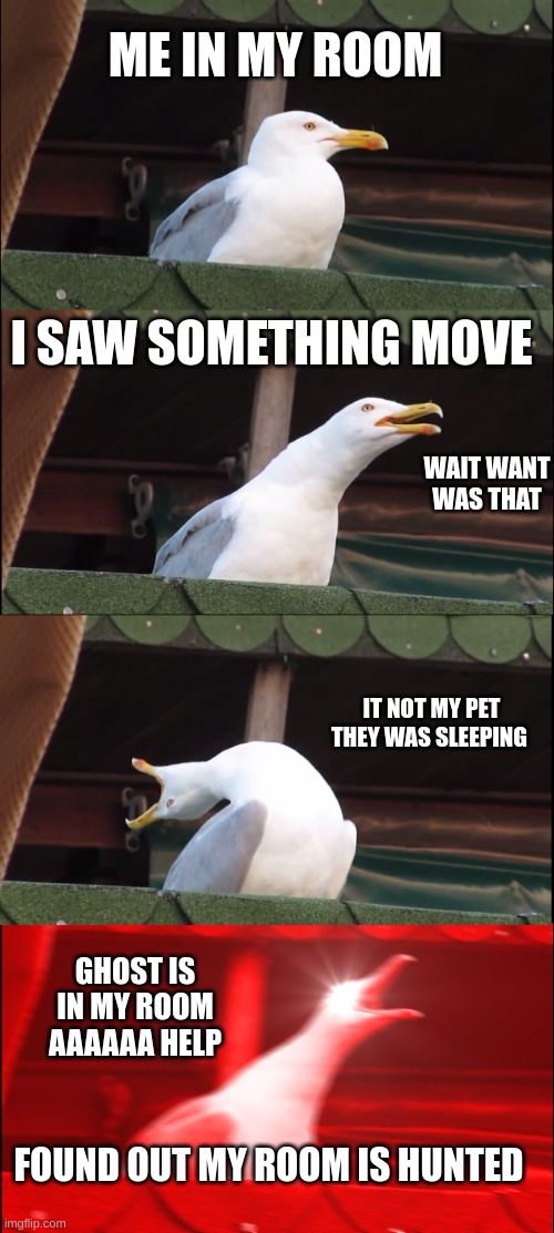 Inhaling Seagull Meme | ME IN MY ROOM; I SAW SOMETHING MOVE; WAIT WANT WAS THAT; IT NOT MY PET THEY WAS SLEEPING; GHOST IS IN MY ROOM AAAAAA HELP; FOUND OUT MY ROOM IS HUNTED | image tagged in memes,inhaling seagull | made w/ Imgflip meme maker