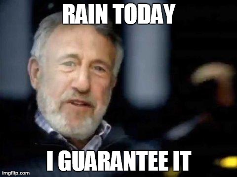 RAIN TODAY I GUARANTEE IT | image tagged in i guarantee it | made w/ Imgflip meme maker