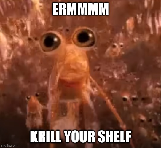 Krill... | ERMMMM KRILL YOUR SHELF | image tagged in krill | made w/ Imgflip meme maker