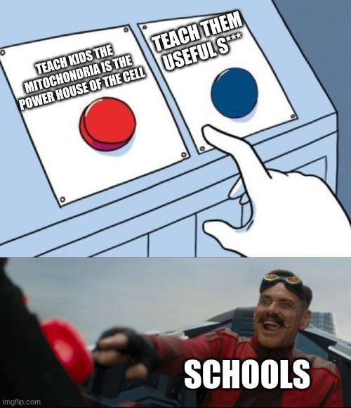 Press The Button! | TEACH THEM USEFUL S***; TEACH KIDS THE MITOCHONDRIA IS THE POWER HOUSE OF THE CELL; SCHOOLS | image tagged in robotnik button,memes,nongif,imdienginside | made w/ Imgflip meme maker