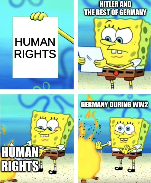 I am sorry I was just thinking about a book called the book thief | HITLER AND THE REST OF GERMANY; HUMAN RIGHTS; GERMANY DURING WW2; HUMAN RIGHTS | image tagged in spongebob burning paper | made w/ Imgflip meme maker