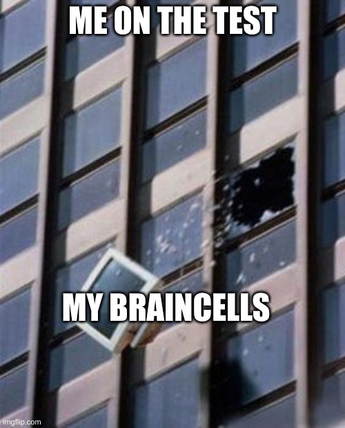 TV flying out the window | ME ON THE TEST; MY BRAINCELLS | image tagged in tv flying out the window | made w/ Imgflip meme maker